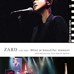 ZARD LIVE 2004 “What a beautiful moment”《BDISO 31.6G》