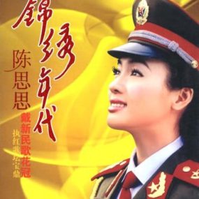 陈思思 锦绣年代（DVD ISO 2.42GB）