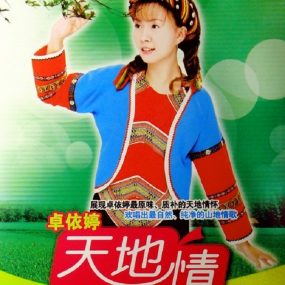 卓依婷 天地情山地情歌辑（DVD ISO 3.48GB）