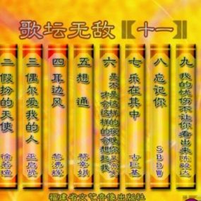 群星 歌坛无敌11（DVD ISO 3.86GB）