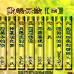 群星 歌坛无敌4（DVD ISO 3.6GB）