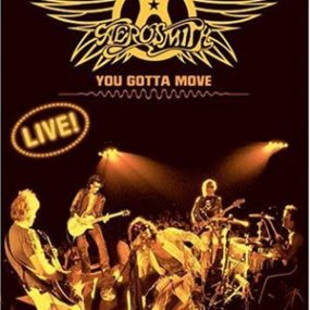 Aerosmith – Live You Gotta Move（DVD ISO 4.33G）