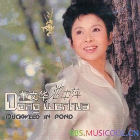 董文华 – 池中萍（DVD ISO 3.67G）