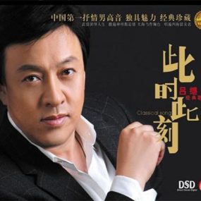 王宏伟 – 儿行千里（DVD ISO 5.93G）