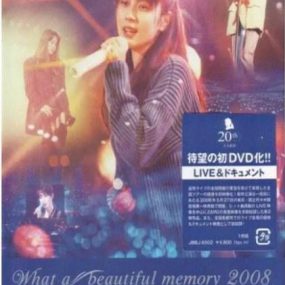 坂井泉水さかい いずみ-2008演唱会（DVD-ISO4.36G）