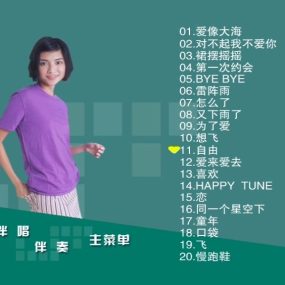 李心洁 – 滚石原装MTV卡拉OK系列20[KTV][DVD-ISO3.80G]