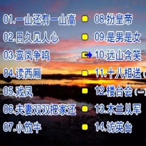 庄学忠 – 情歌对唱[花仙子KTV][2DVDISO][3.15G+2.68G]