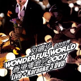 刘德华:奇妙世界Wonderful World2007香港演唱会（DVD-5.54G）碟2-3缺失 暂时免费下载