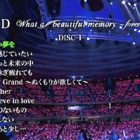 坂井泉水 – What a beautiful memory-20周年[2DVD-ISO6.56G+4.82G]