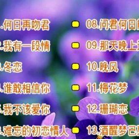 刘秋仪 – 冬恋[KTV][2DVDISO][3.09G+3.17G]