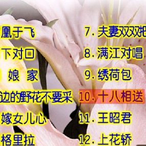 卓依婷 – 柔情小调[KTV][DVD-ISO3G]