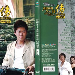 张振宇- 2006年度最佳卡拉OK大赏(飞乐唱片)群星 [KTV][DVD-ISO3.67G]