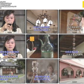 詹雅雯 – 用心肝饮的酒 日本之旅[KTV][DVD-ISO][3.29G]