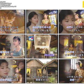 詹雅雯 – 酒中情 马来西亚之旅[KTV][DVD-ISO][3.37G]