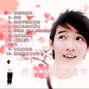 阿牛 – 桃花朵朵开[KTV][DVD-ISO][2.72G]