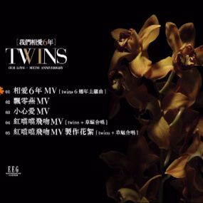 Twins – 我们相爱六年MV[DVD-ISO][1.28G]