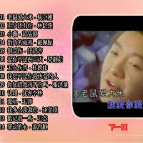 群星 – 强调金曲（DVD ISO 4.00GB)