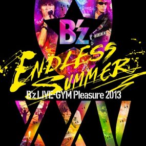 B’z – B’z LIVE-GYM Pleasure 2013 ENDLESS SUMMER -XXV BEST- [2014.01.29]《BDISO 2BD 87.7G》