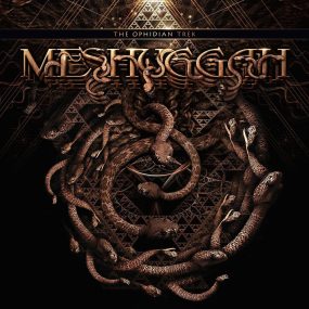 Meshuggah – The Ophidian Trek 2014《BDMV 20.2G》