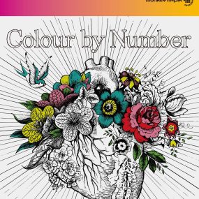 MONKEY MAJIK – Colour by Number 2015 CD+BD《BDMV 20.2G》