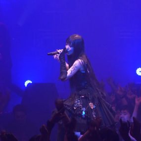 Yousei Teikoku Pax Vesania Live Tour 2013《BDrip MKV 13.6GB》