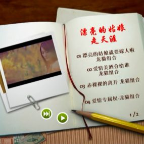 龙猫组合(龙梅子VS老猫) – 漂亮的姑娘走天涯MV [DVD ISO 1.70G]