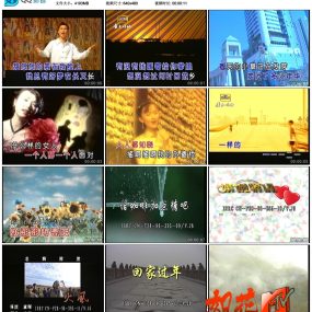 群星 –  中国星MTV金碟2 [LD转DVD] [ISO] [4.10G+4.21G]