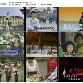 方季惟 – 精选集 2DVD [VHS转录] [KTV] [DVD ISO 3.32G+2.9G]