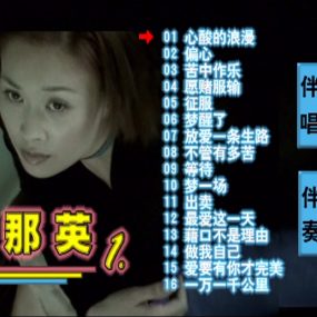 那英 – 心酸的浪漫 原装巨星MTV 卡拉OK精选 [KTV] [DVDISO][3.41G]