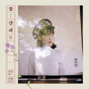 李知恩 IU – 2nd Remake 2017 Album 꽃갈피 둘[Hi-Res WAV 347MB]