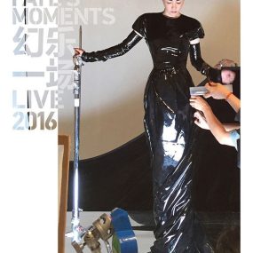 王菲 幻乐一场 Faye’s Moment Live 2016 上海演唱会《BDMV 19.71G》
